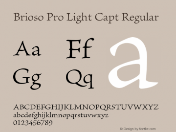 Brioso Pro Light Capt Regular Version 2.040;PS 002.000;hotconv 1.0.51;makeotf.lib2.0.18671 Font Sample