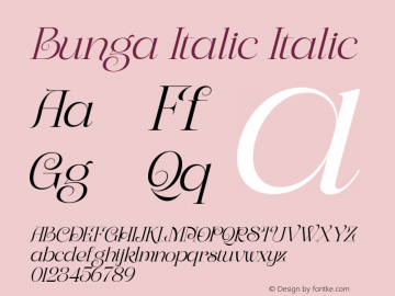BungaItalic-Italic Version 1.000图片样张