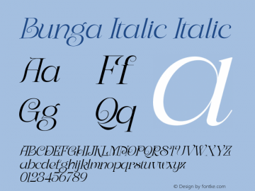 Bunga Italic Italic Version 1.000图片样张