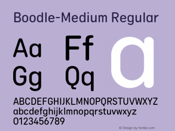 Boodle W05 Medium Version 1.002图片样张