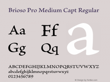 Brioso Pro Medium Capt Regular Version 2.040;PS 002.000;hotconv 1.0.51;makeotf.lib2.0.18671 Font Sample