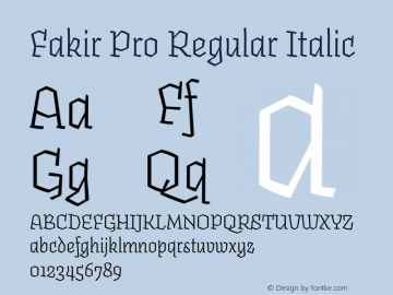 Fakir Pro Regular Italic Version 2.501 (Underware) | wf-rip DC20191205图片样张