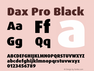 DaxPro-Black Version 7.504; 2005; Build 1009图片样张