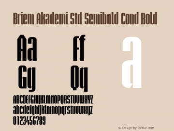 Briem Akademi Std Semibold Cond Bold Version 1.040;PS 001.000;Core 1.0.35;makeotf.lib1.5.4492 Font Sample
