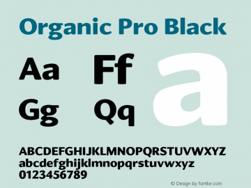 Organic Pro Black Version 2.500;FEAKit 1.0图片样张