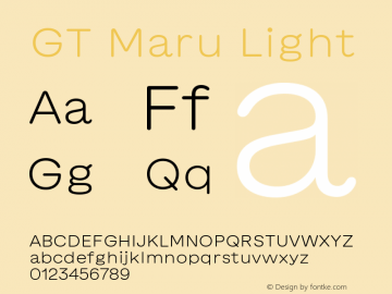 GT Maru Light Version 2.000;FEAKit 1.0图片样张