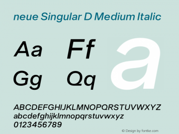 neue Singular D Medium Italic Version 1.000;hotconv 1.0.109;makeotfexe 2.5.65596图片样张