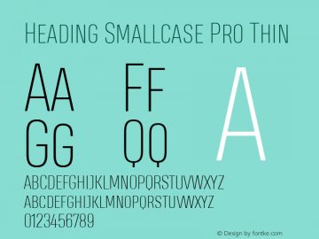 Heading Smallcase Pro Thin Version 2.001图片样张