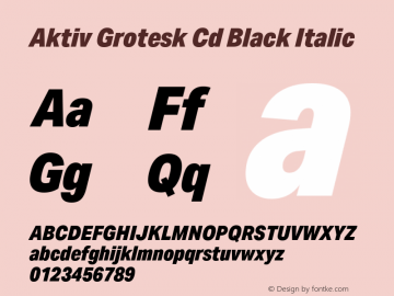 Aktiv Grotesk Cd Black Italic Version 1.001图片样张