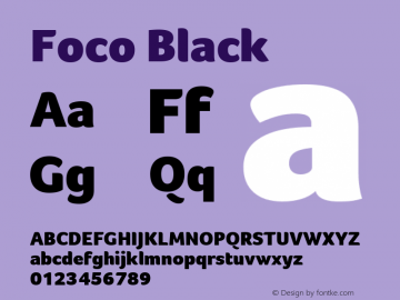 Foco Black Version 1.101图片样张