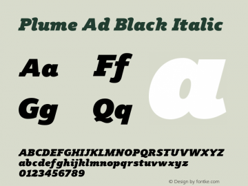 Plume Ad Black Italic Version 1.010图片样张