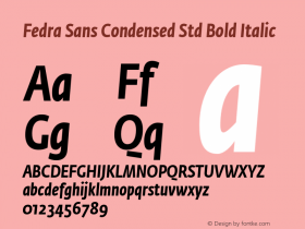 FeSaCondStdBoldIta Version 3.0; 2009图片样张