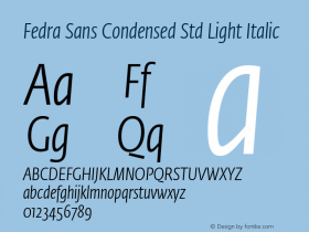 FeSaCondStdLightIta Version 3.0; 2009图片样张