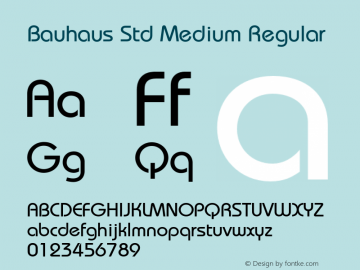 Bauhaus Std Medium Regular Version 2.031;PS 002.000;hotconv 1.0.50;makeotf.lib2.0.16970图片样张