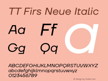 TT Firs Neue Italic Version 1.100图片样张