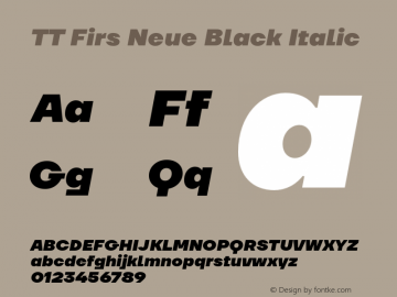 TT Firs Neue Black Italic Version 1.100图片样张