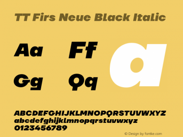 TT Firs Neue Black Italic Version 1.100图片样张