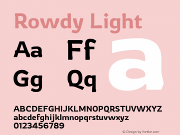 Rowdy Light Version 1.000;PS 001.000;hotconv 1.0.88;makeotf.lib2.5.64775图片样张