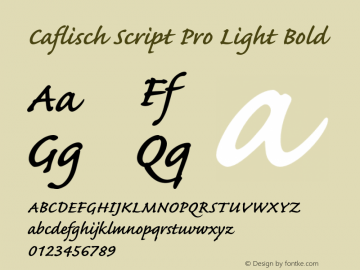 Caflisch Script Pro Light Bold OTF 1.010;PS 1.000;Core 1.0.30;makeotf.lib1.4.1030 Font Sample