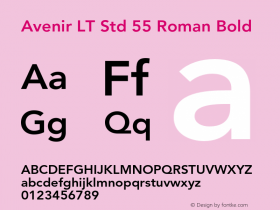 Avenir LT Std 55 Roman Bold Version 2.035;PS 002.000;hotconv 1.0.51;makeotf.lib2.0.18671图片样张