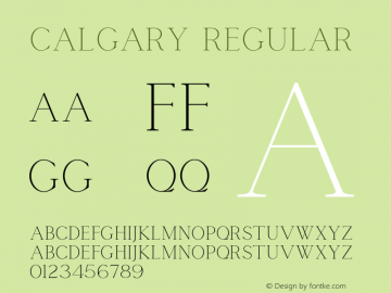 Calgary Regular Version 1.000;PS 001.000;hotconv 1.0.88;makeotf.lib2.5.64775图片样张