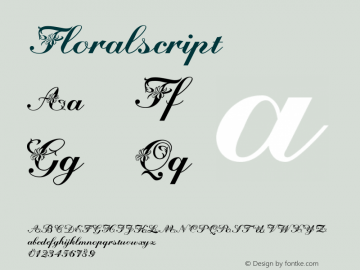 ☞Floralscript Version 001.000;com.myfonts.easy.wiescherdesign.floralscript.regular.wfkit2.version.4k7N图片样张