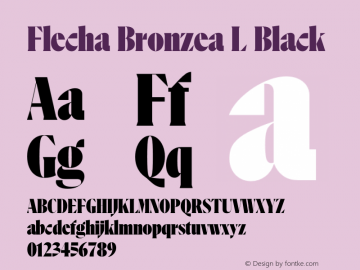 Flecha Bronzea L Black Version 1.000图片样张