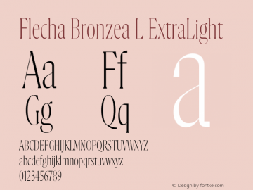 Flecha Bronzea L ExtraLight Version 1.000图片样张