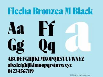Flecha Bronzea M Black Version 1.000图片样张