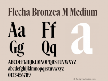 Flecha Bronzea M Medium Version 1.000图片样张