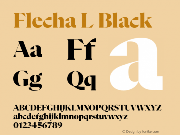 Flecha L Black Version 2.001图片样张