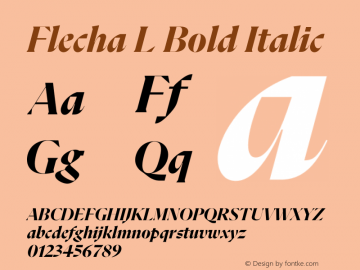 Flecha L Bold Italic Version 2.001图片样张