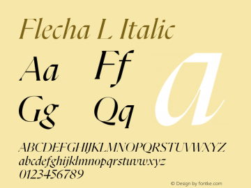 Flecha L Italic Version 2.001图片样张