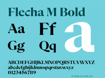 Flecha M Bold Version 2.001图片样张