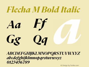 Flecha M Bold Italic Version 2.001图片样张