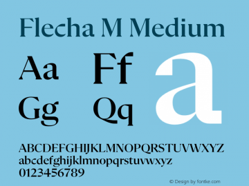 Flecha M Medium Version 2.001图片样张