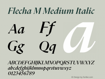 Flecha M Medium Italic Version 2.001图片样张