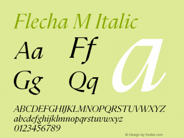Flecha M Italic Version 2.001图片样张