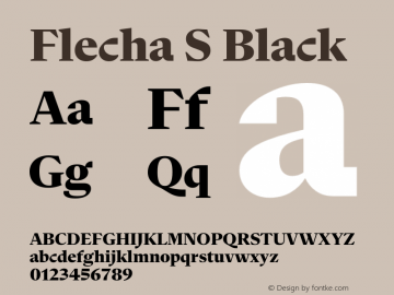 Flecha S Black Version 2.001图片样张