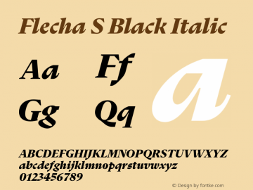 Flecha S Black Italic Version 2.001图片样张