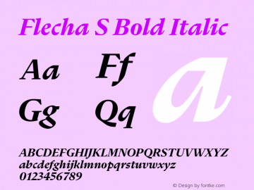 Flecha S Bold Italic Version 2.001图片样张