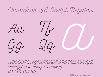 Chamelton36-Rg Version 1.000;hotconv 1.0.109;makeotfexe 2.5.65596图片样张