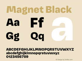 Magnet-Black Version 1.001;PS 1.000;hotconv 16.6.51;makeotf.lib2.5.65220图片样张