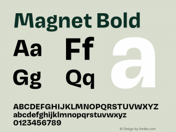 Magnet-Bold Version 1.001;PS 1.000;hotconv 16.6.51;makeotf.lib2.5.65220图片样张