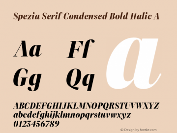 SpeziaSerif-CondensedBoldItalicA Version 1.000图片样张