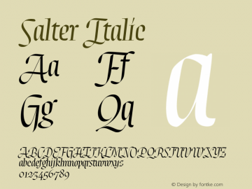 Salter-Italic Version 1.000;hotconv 1.0.114;makeotfexe 2.5.65599图片样张