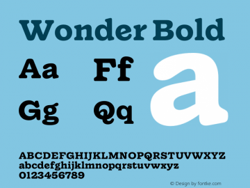 Wonder-Bold Version 1.000;hotconv 1.0.109;makeotfexe 2.5.65596图片样张