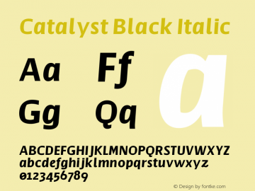 Catalyst Black Italic Version 1.000;hotconv 1.0.109;makeotfexe 2.5.65596图片样张