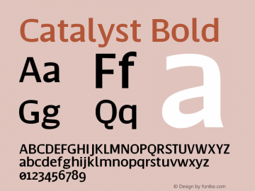 Catalyst Bold Version 1.000;hotconv 1.0.109;makeotfexe 2.5.65596图片样张