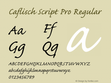 Caflisch Script Pro Regular(RUS Version 1.01;June 8, 2021;FontCreator 13.0.0.2683 64-bit图片样张